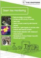 Steam loss monitoring